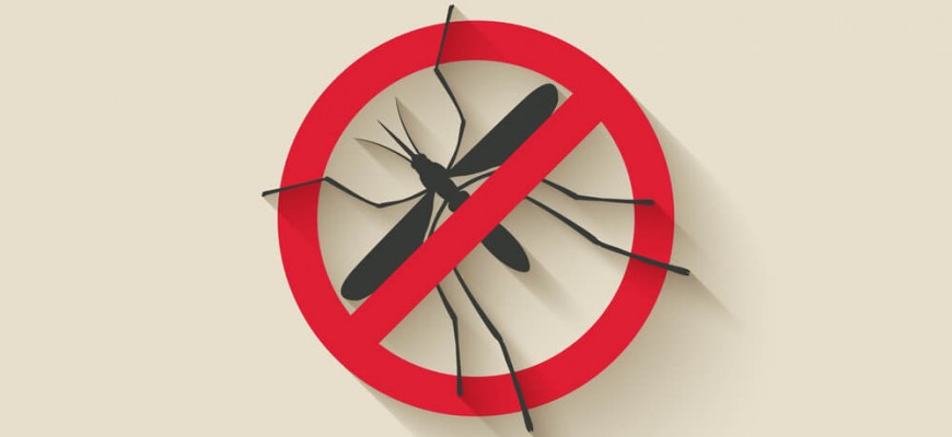 Dengue no Trabalho: como sua empresa pode ajudar na prevenção?